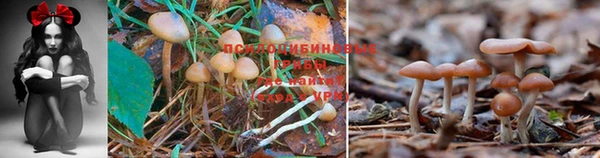 мяу мяу кристалл Армянск