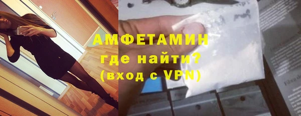 сатива Аркадак