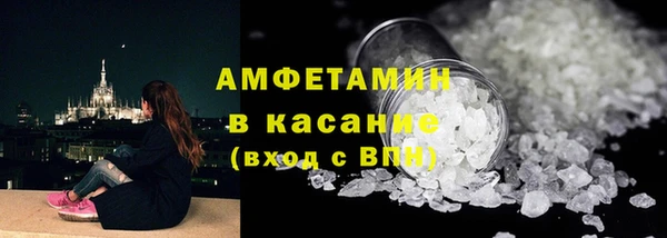 сатива Аркадак