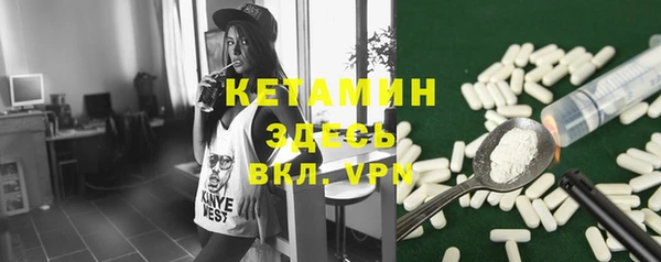 сатива Аркадак