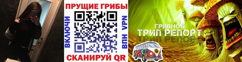 Галлюциногенные грибы мицелий  Нурлат 